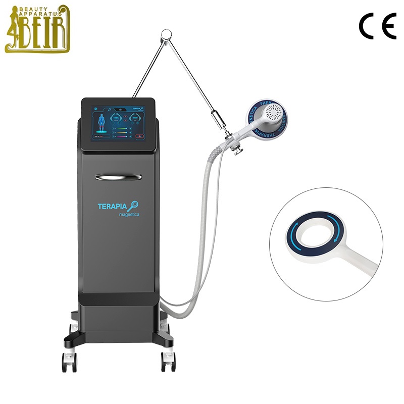 Electromagnetic Transduction Therapy magnetica