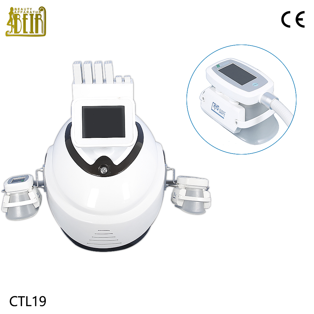 Lipolaser Criolipolisis machine with handles have four sizes can choose