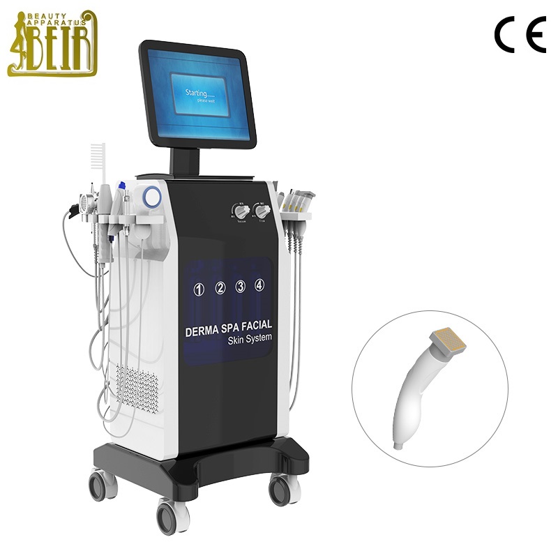 16 IN 1 Hydra Dermabrasion RF Facial Beauty Equipment